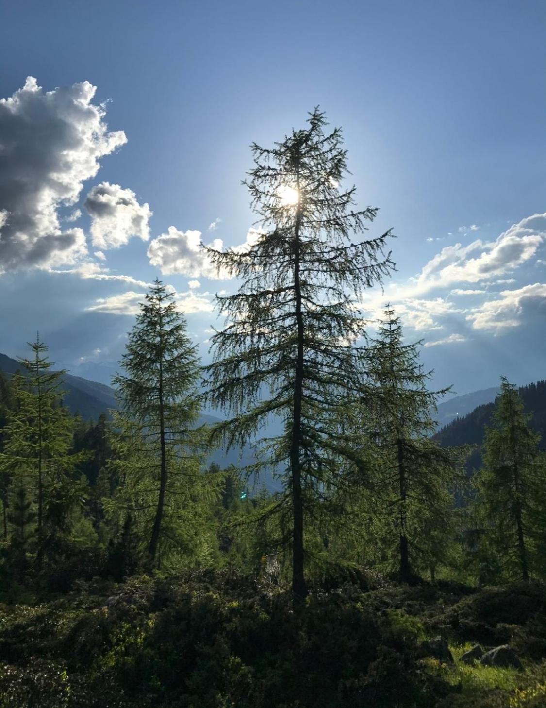 Apart Sonnenheim カウナータール エクステリア 写真